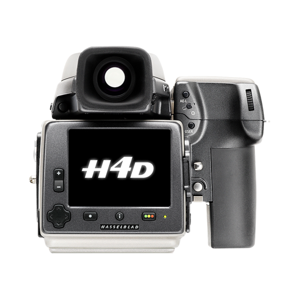 H4d back