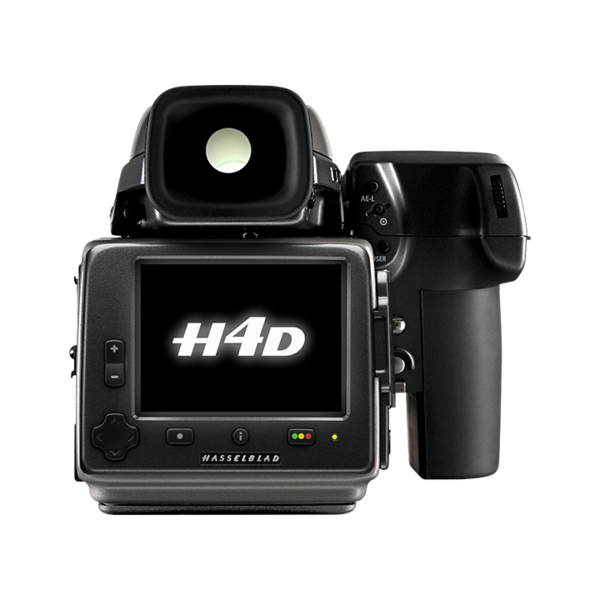 H4d back grey